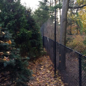 Black Steel Web Hexagrid