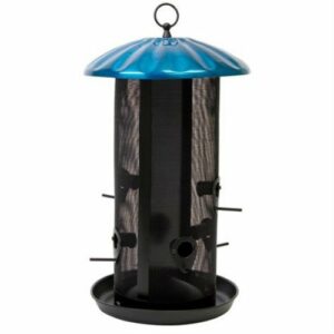 Royal Buffet Bird Feeder