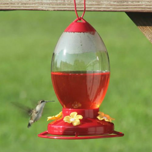 32 oz Feeder - Image 2