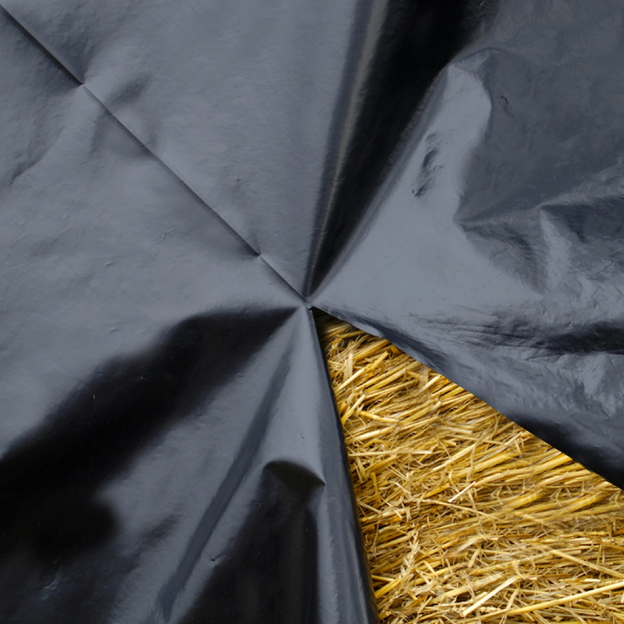 Poly Sheeting- Medium Duty, 4 mil, 12'x100', Black - Image 4