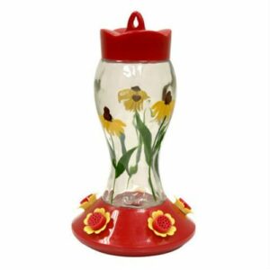 Bloomin Susans Feeder